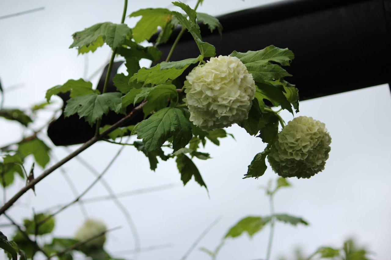 Farm stay Fetznhof-zuhaus *