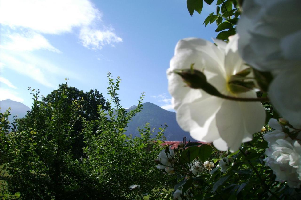 Fetznhof-zuhaus Farm stay Grassau (Bavaria)