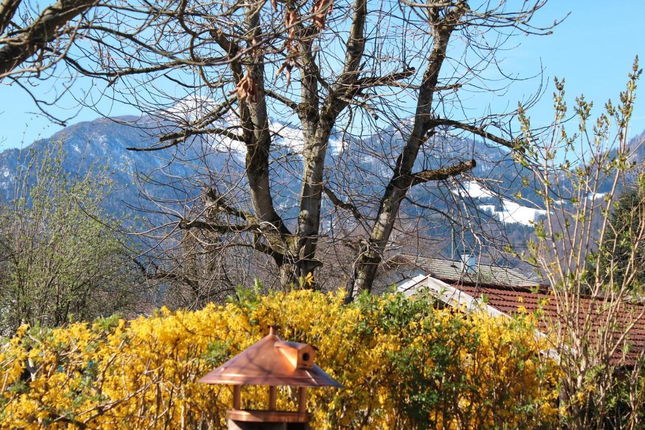 Fetznhof-zuhaus Grassau (Bavaria)