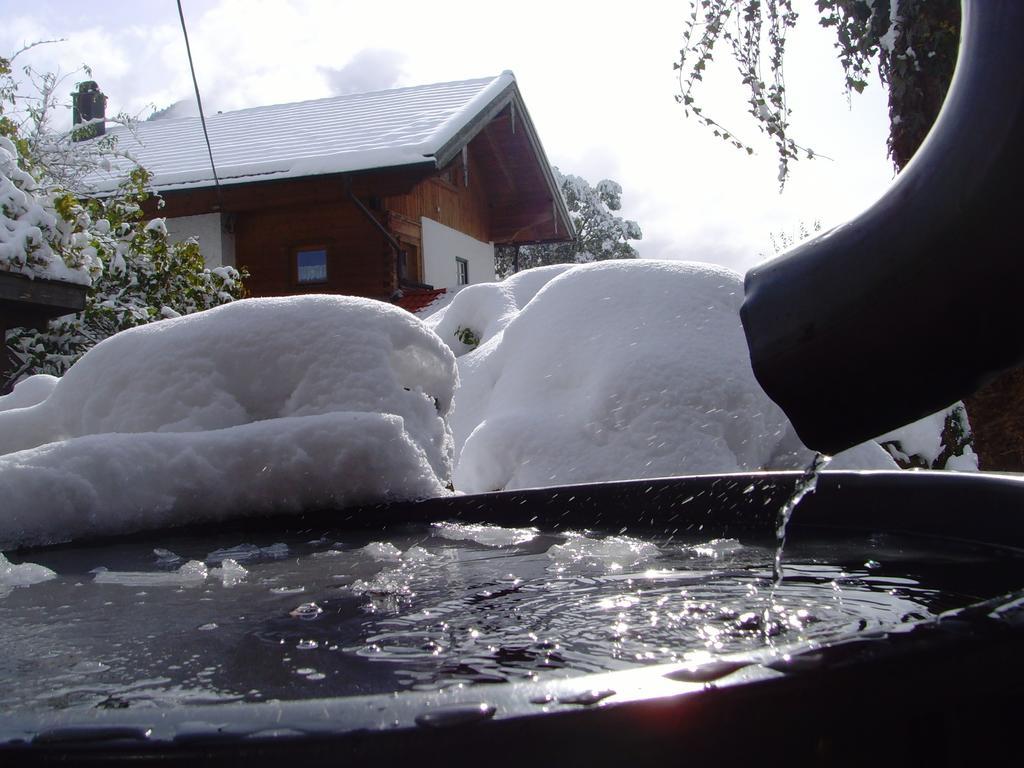 Fetznhof-zuhaus Farm stay